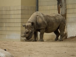 Jahresausflug Frankfurt Zoo 07